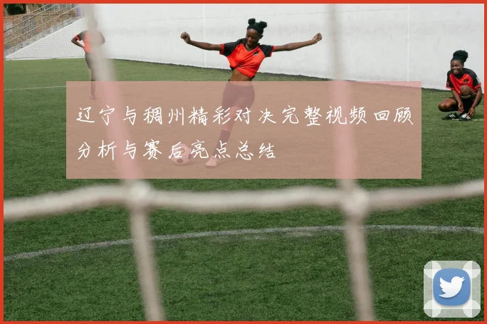 辽宁与稠州精彩对决完整视频回顾分析与赛后亮点总结