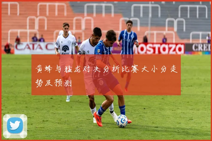 黄蜂与猛龙对决分析比赛大小分走势及预测