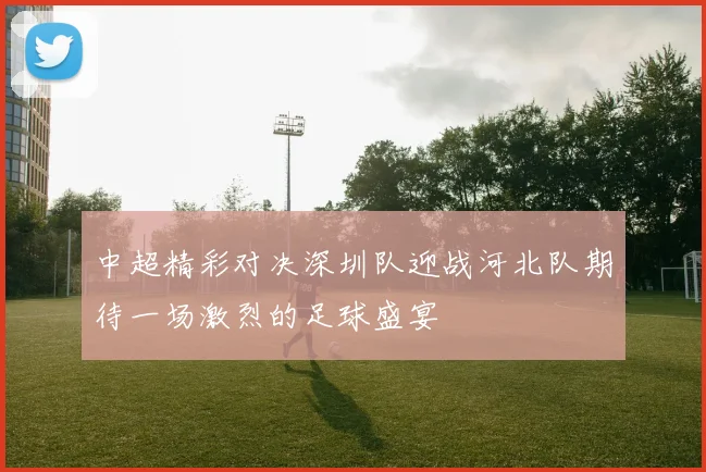 中超精彩对决深圳队迎战河北队期待一场激烈的足球盛宴