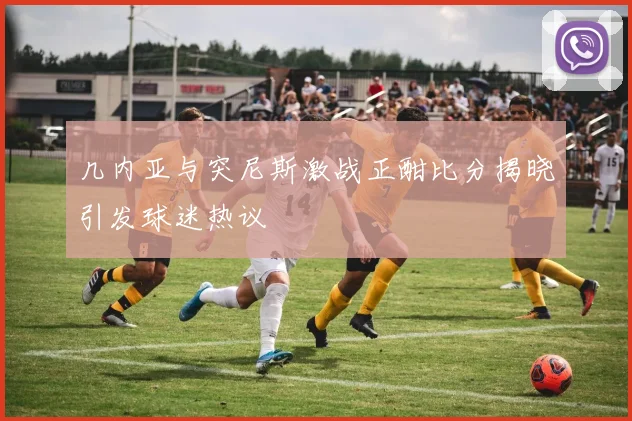 几内亚与突尼斯激战正酣比分揭晓引发球迷热议