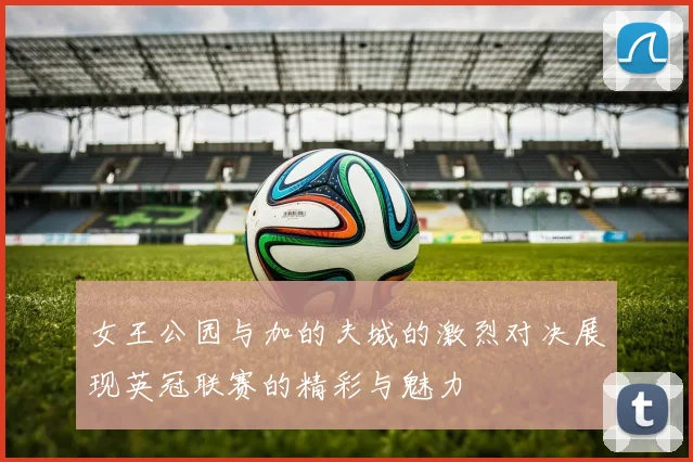 女王公园与加的夫城的激烈对决展现英冠联赛的精彩与魅力