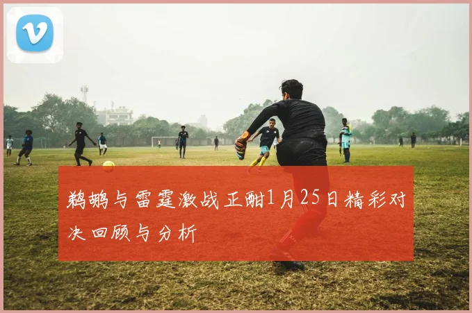 鹈鹕与雷霆激战正酣1月25日精彩对决回顾与分析