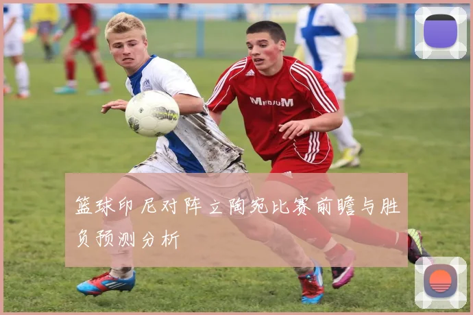 篮球印尼对阵立陶宛比赛前瞻与胜负预测分析