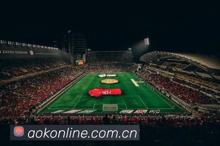 澳客体育平台生态图